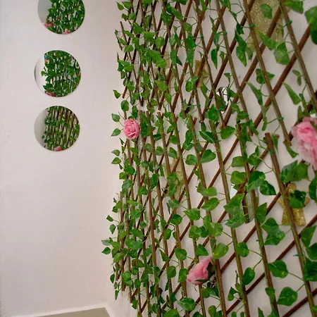 公寓 C.27 Lili Urban_apartment